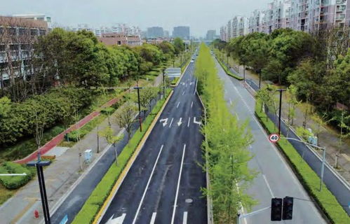 新增8條 閔行已成功創建33條 精品道路