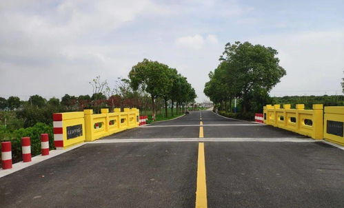 上海這些鄉(xiāng)村路處處是風(fēng)景,您中意哪些 2020上海十大最美鄉(xiāng)村路 評選活動(dòng)開始啦