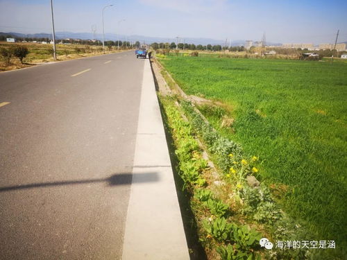 新農村道路的交通設施