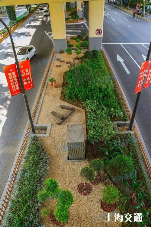 地鐵站被 森林 包圍 從空中可直達南外灘 上海這些交通設施 車站美出圈