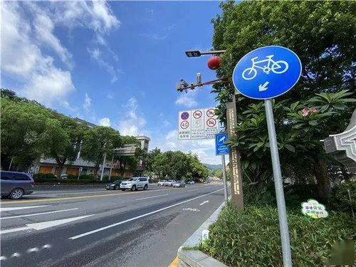 司機注意 西樵這個路段有新交通設(shè)施,對違停車輛進行抓拍