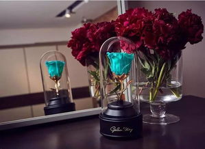 9折優惠丨送她一份永不凋謝的英式花禮，讓陪伴再久一點