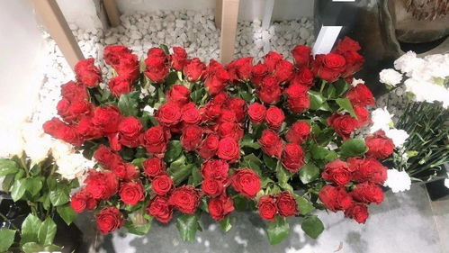探店日記丨520禮物首選，花所為你精心準備，送給心愛的她