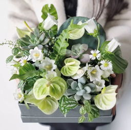 fancy花兮 節(jié)日花禮與禮品花卉銷(xiāo)售指南