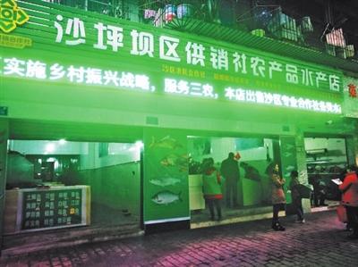 打通農產品流通最后一公里——沙區供銷社農產品水產、花卉店正式開業