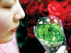 情人節玫瑰與多彩花卉禮品銷售洞察