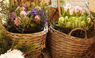 從街頭到世界 93年女孩的另類(lèi)賣(mài)花路，年入400萬(wàn)，生意遍及40國(guó)