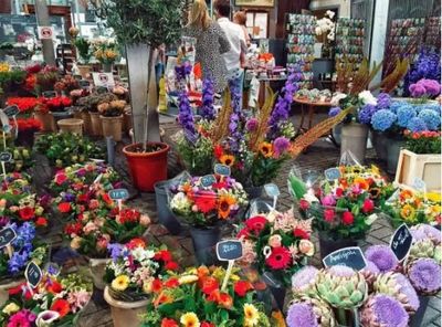 農(nóng)村創(chuàng)業(yè)新機(jī)遇 小作坊代加工項(xiàng)目探索，兼論禮品花卉銷(xiāo)售